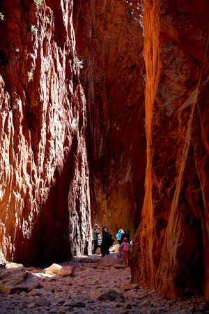 Standley Chasm Alice Springs Area 